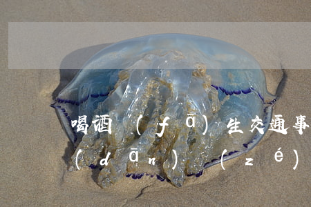 喝酒發(fā)生交通事故同桌酒友是否擔(dān)責(zé)？